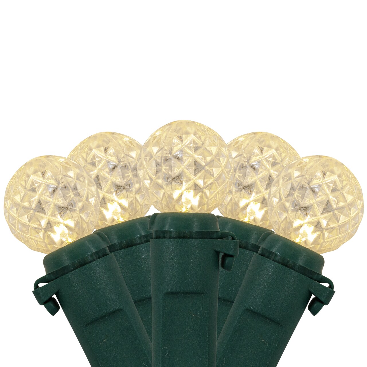 Northlight LED G12 Berry Christmas Lights - Warm White - 16' Green Wire - 50 ct